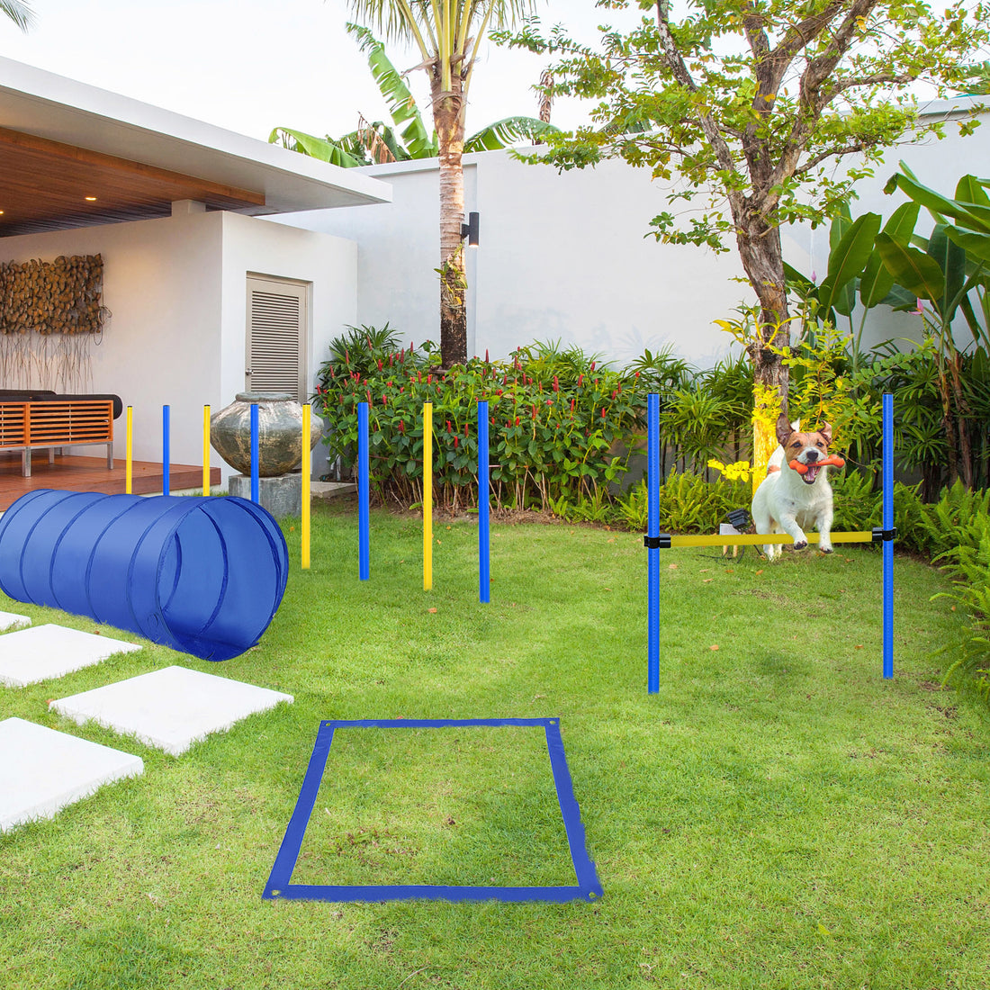 4PC Obstacle Dog Agility Training Course with Jump Hurdle, Tunnel, Pause Box, Weave Poles and Carrying Bag, Backyard Competitive Equipment- Blue/Yellow